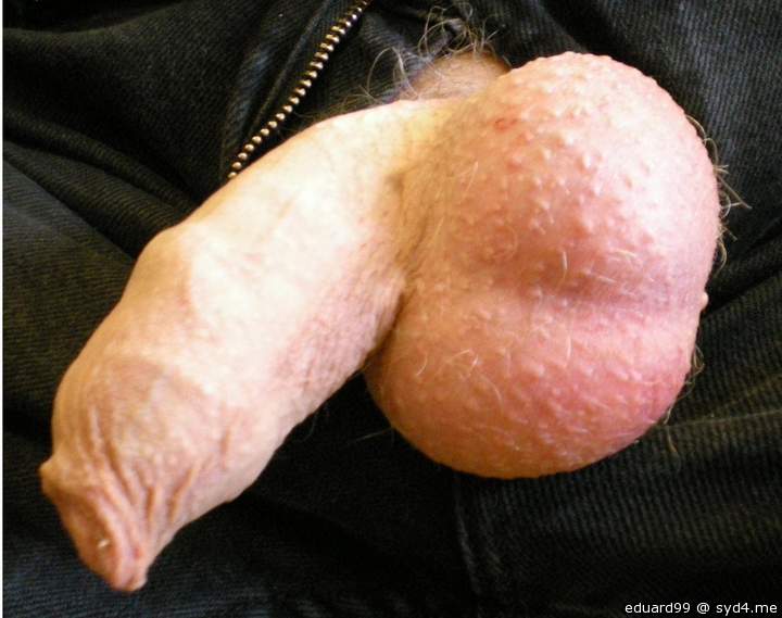 Soft Cock and Balls