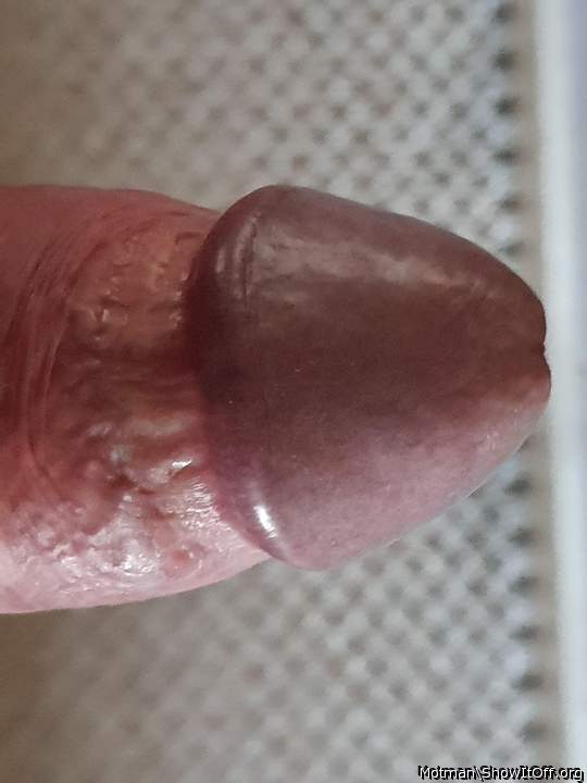 yes love to suck your cock head like a lolly taste your prec
