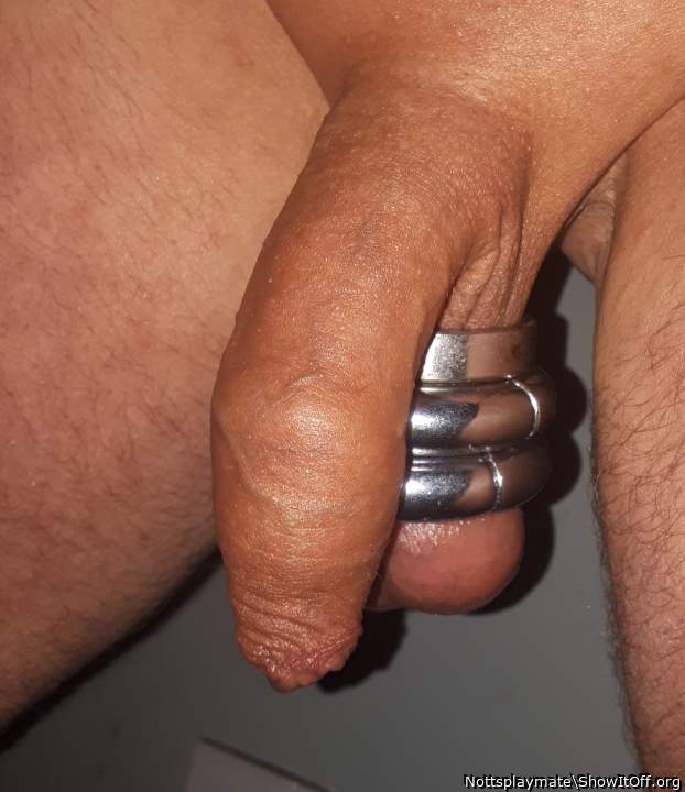 Tanned cock 2021