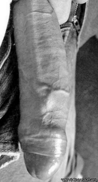 Fabulous b/w of your veiny cock.