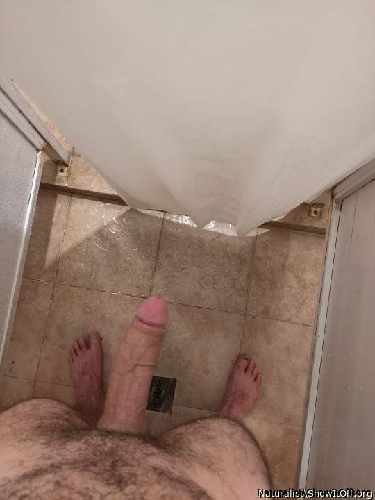 suck my dick in the shower
