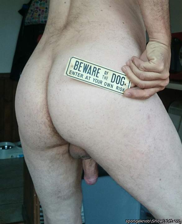 You have been warned , as a dog I might munch on your dick