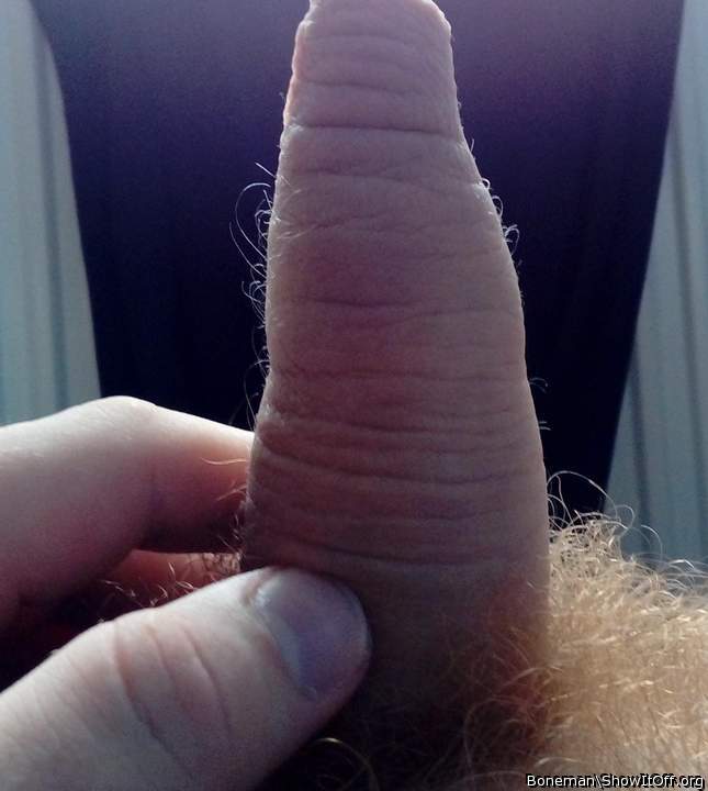 Uncut Cocks Can Have A Hairy Shaft Too
