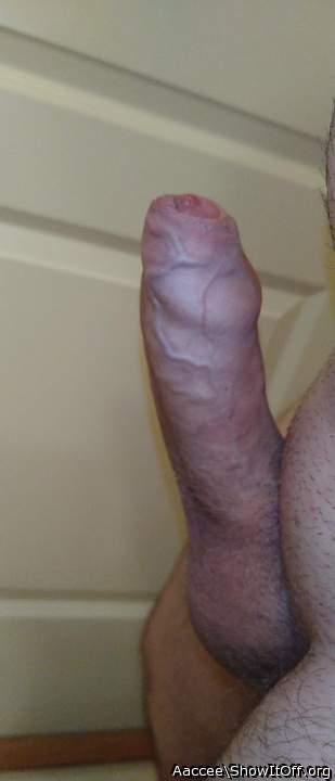 I luv the way ur foreskin outlines ur big head - so sexy  