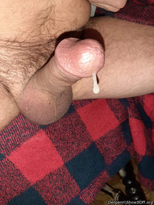 Beautiful tasty drop on a delicious cock.   