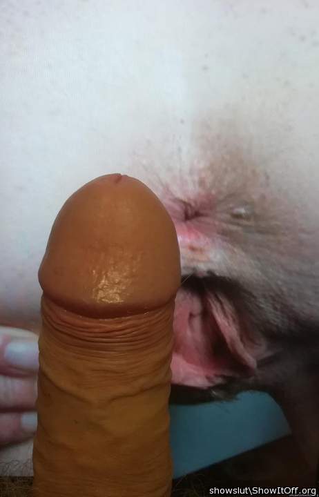 Cock for a whore