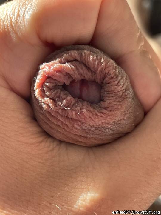 cock4