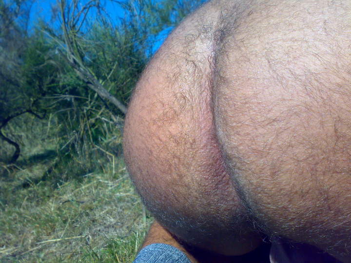 fat ass