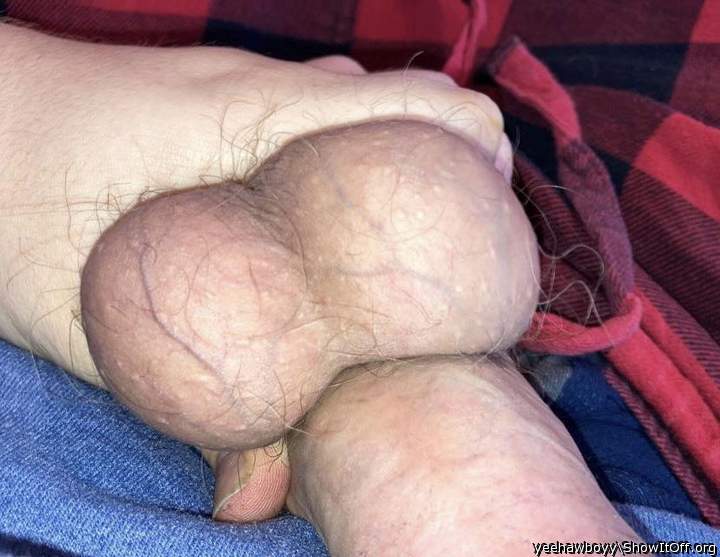 Big dick and heavy balls.  I think Ill jack off to them