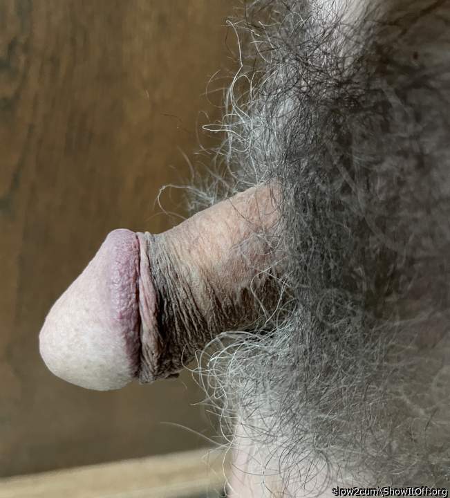 every time I see your lovely hairy cock my cock reacts and w