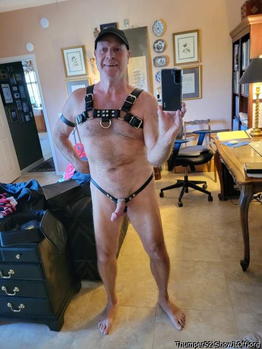 CHEST & COCK HARNESS 11/3/2021