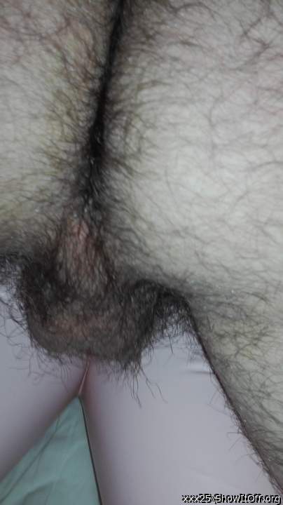 I love your hairy ass and sack. Fuck me!!!