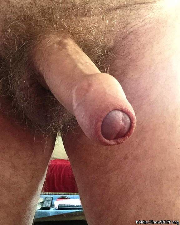 Absolutely beautiful uncut cock!    