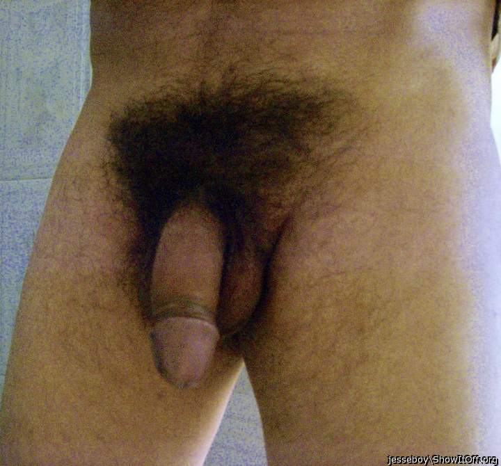 Perfekt hairy dick!