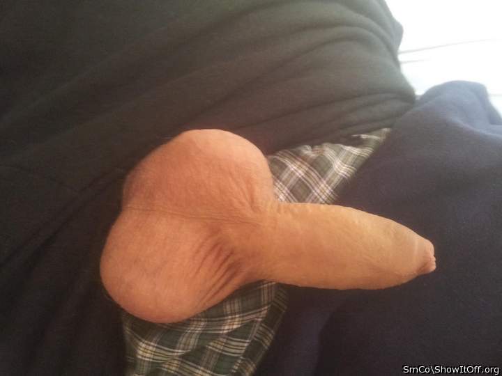 nice penis hoe  I like it!