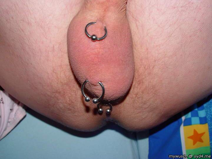 shaved and pierced