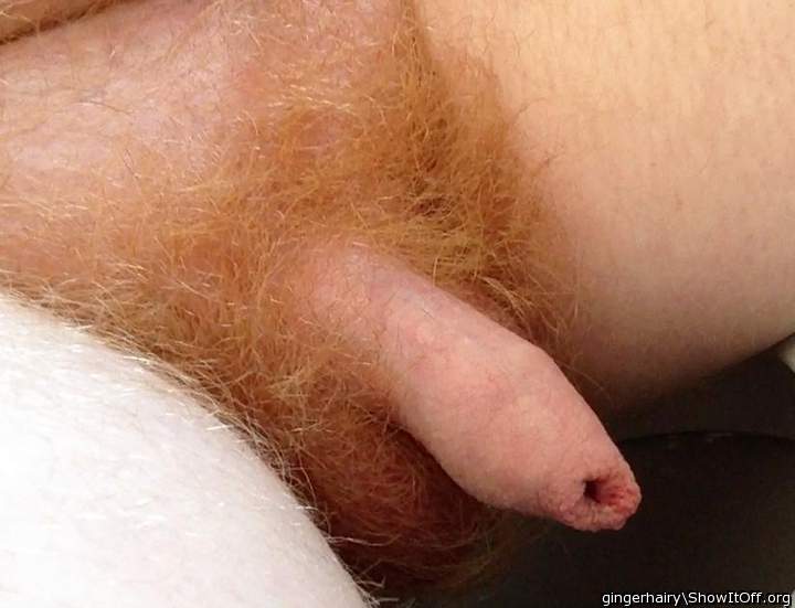 Adult image from gingerhairy