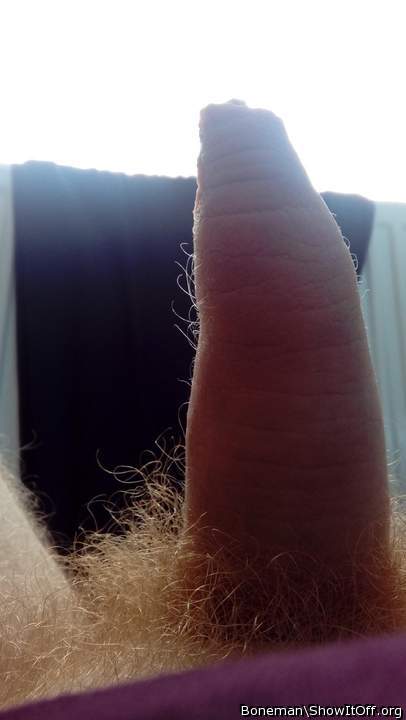 The Sun Shining On An Uncut Cock With Shaft Hairs