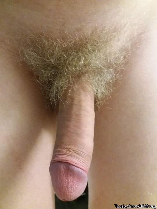 Frontal of my hairy dick