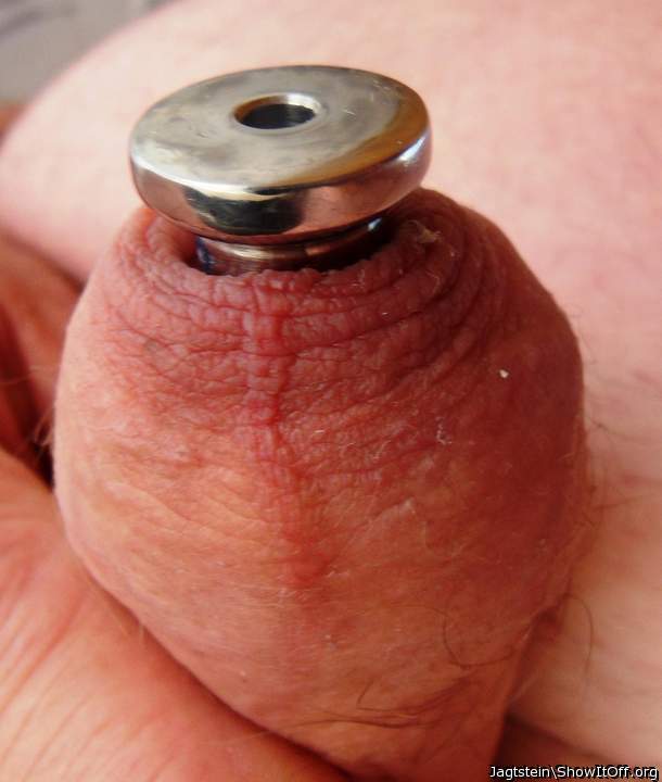 Foreskin closed with Penis Plug