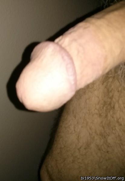 I want your cock in my mouth!
