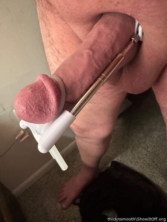 Stretching my cock