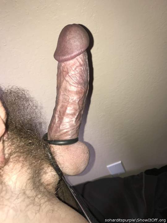 Awesome erect and ringed cock!      