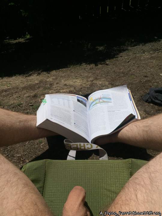 Studying in the sun