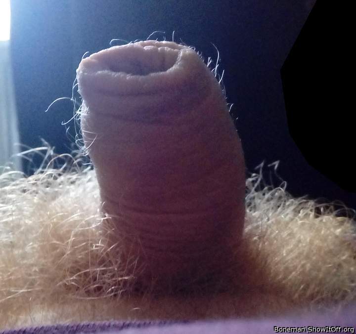 Pubes And A Hairy Foreskin