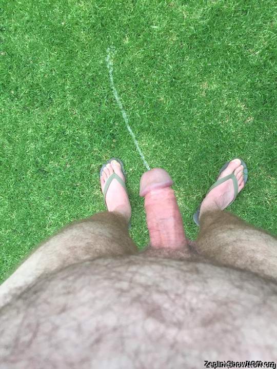 Pissing on the back lawn 2
