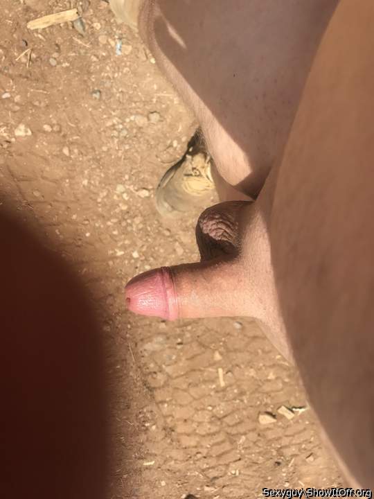 Nice cock. Can I suck it?