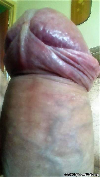 Awesome cock!    