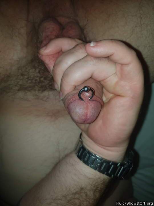 Good looking pierced cock!      