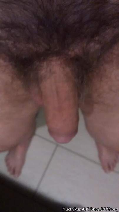 Soft and hairy cock