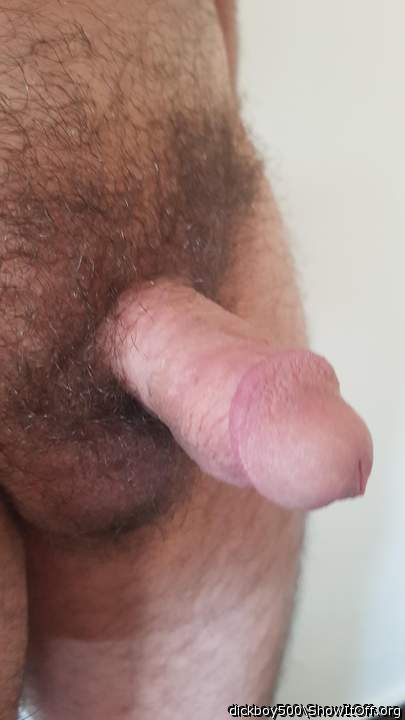 circumcised, thick and hairy with nice flared helmet