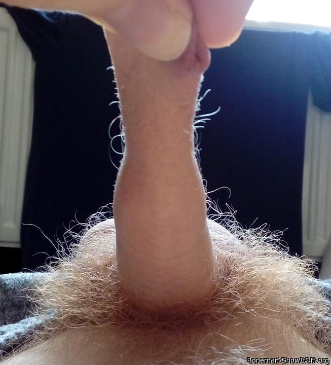 Hairy Pubes And A Hairy Foreskin