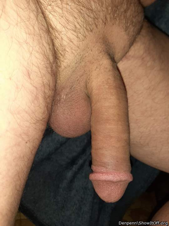 A magnificent hanging cock ready to be fondled and sucked!  
