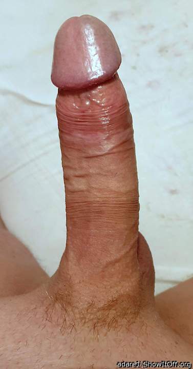 Just a perfect cock   