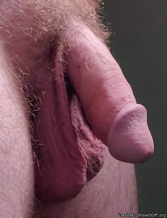 Mouthwatering cock... hairy, hanging, inviting!