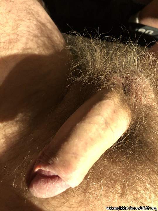 nice hairy dick 
