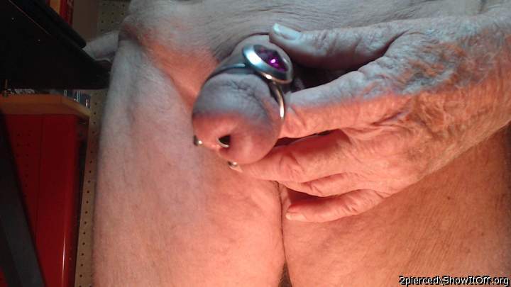 Pierced cock and penis insert