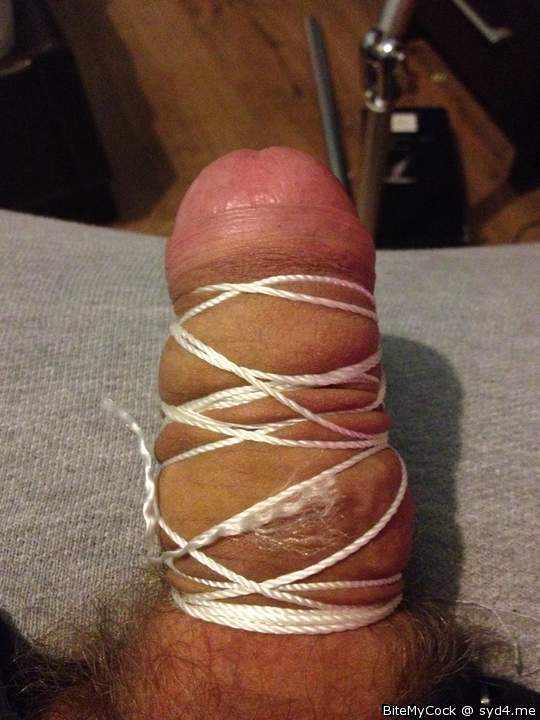Tied up meat
