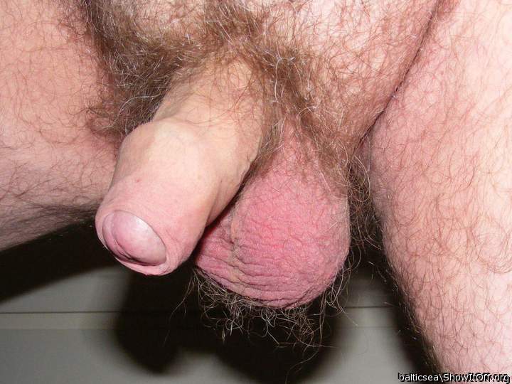 Lovely peeking head and sexy hairy balls, I'd like playing w
