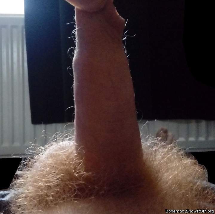 As Well As Pubes I Have Hairs Growing From My Foreskin Too