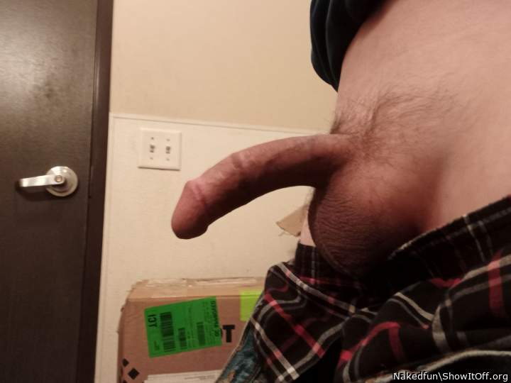nice circumcised dick!
