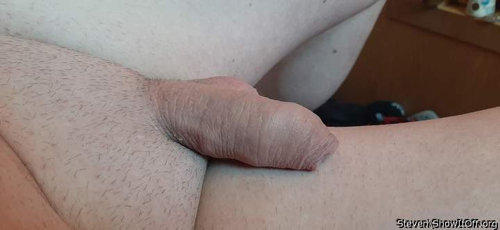 Shaved small uncut dick
