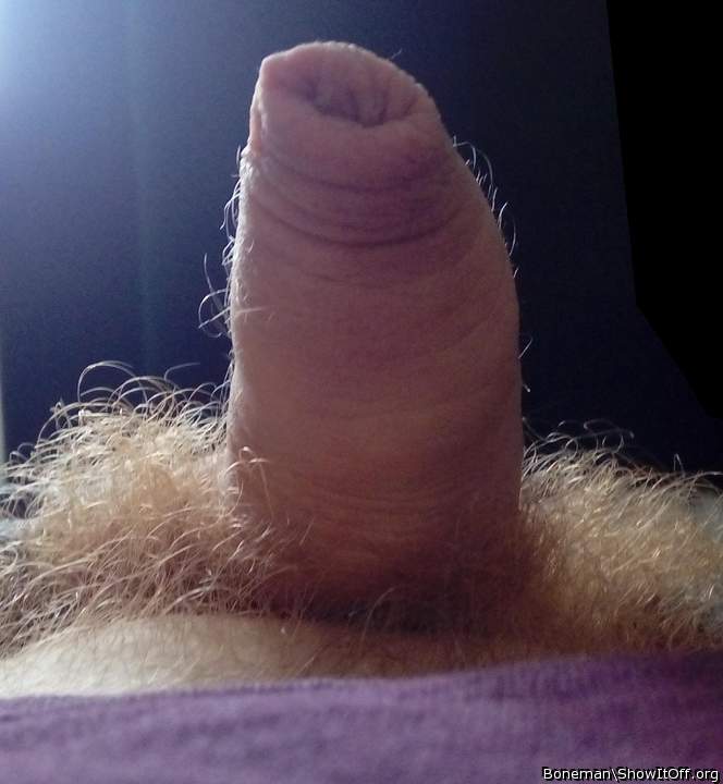 I Love The Hairs Growing From The Sides Of My Foreskin