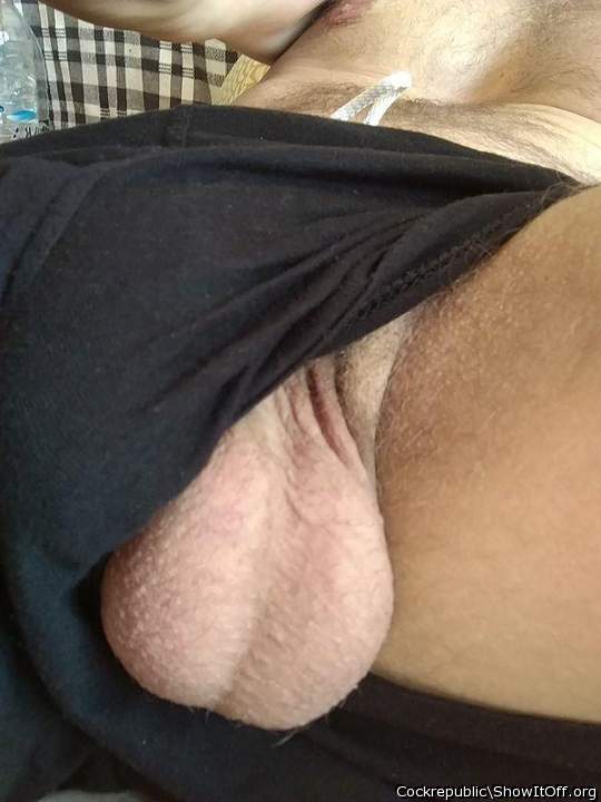 Sexy sight... my tongue is drawn to your big, smooth balls! 