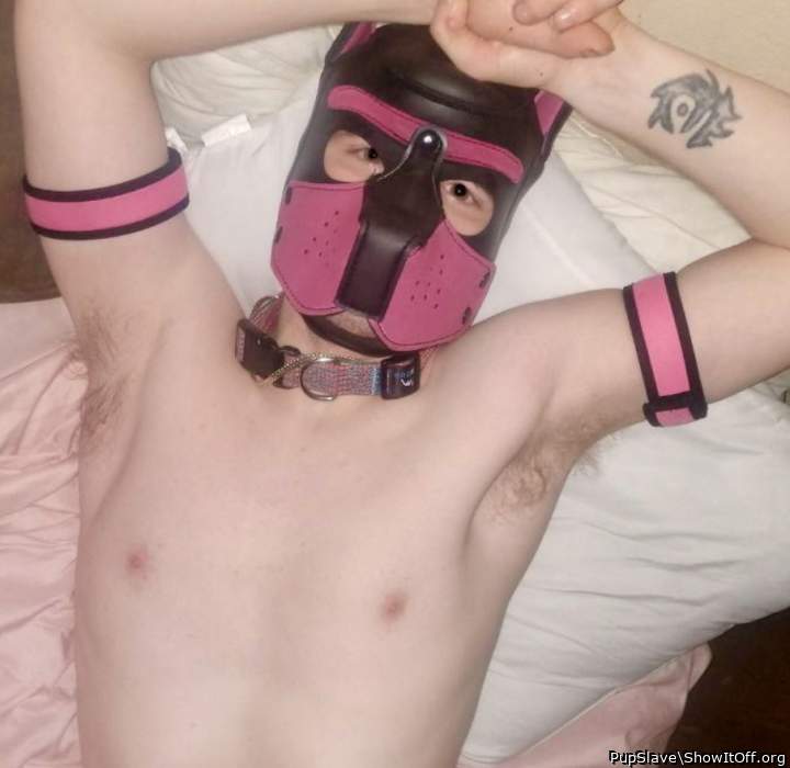Dallas Puppy Slave Looking For A Master To Expose And Humiliate Pup