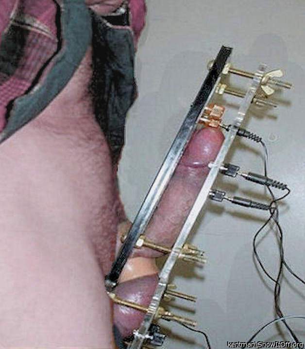 Cock being tested